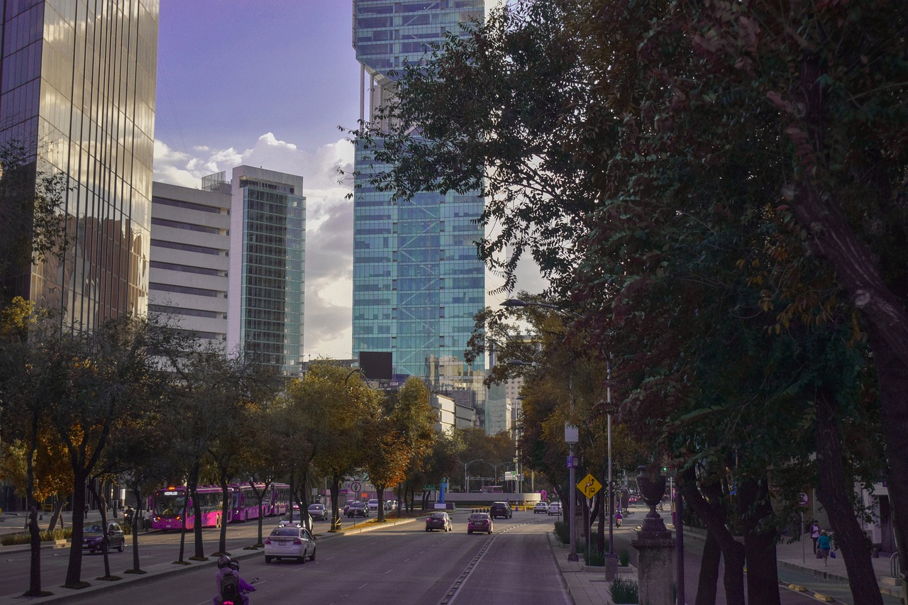 Mehrspurige Allee in Mexiko-Stadt mit Bürotürmen, Bäumen und Verkehr